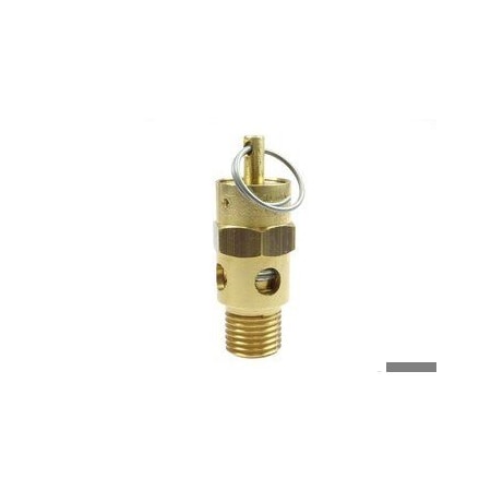 Coilhose Pneumatics ASME-Approved Relief Valves 110 PSI SV110